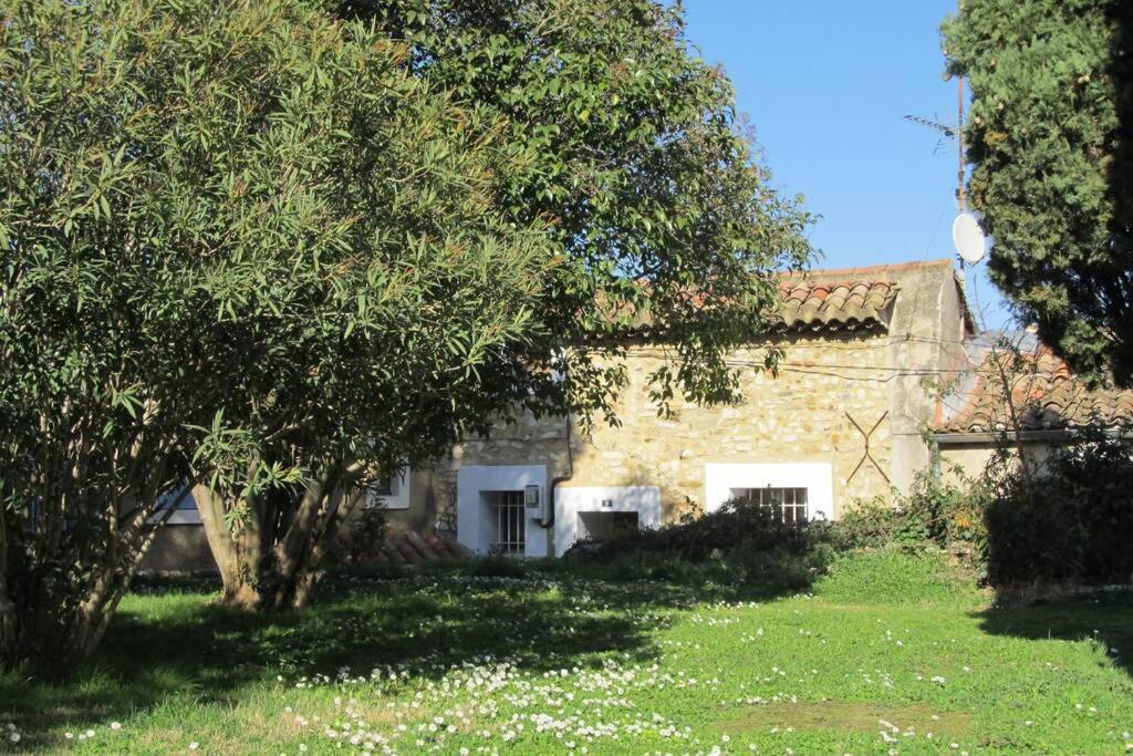 Gite De L'Eglise Sablet Zewnętrze zdjęcie